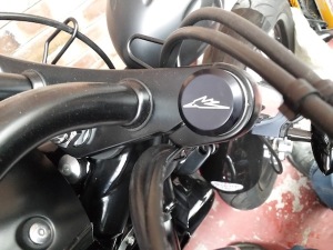 THUNDERBIRD ENGRAVED FORK CAPS